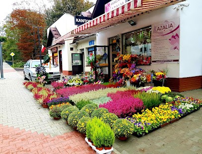 Kwiaciarnia Krynica AZALIA, Kwiaciarnia w Krynica-Zdrój