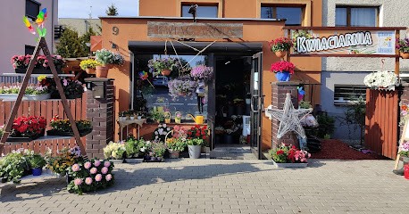 Flori-Studio Anna Piosik . Kwiaciarnia. Kwiaty, Wiązanki, Dekoracje, Kwiaciarnia w Poznań