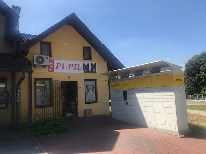 AN.FLOR Flower & Decor Anna Kozłowska, Kwiaciarnia w Olkusz