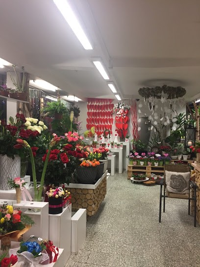 Kwiaciarnia Różana Bielsko-Biała - Dostawa: Bielsko, Żywiec, Skoczów, Pszczyna, Kwiaciarnia w Bielsko-Biała