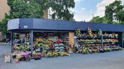 Kwiaciarnia Honoratka, Kwiaciarnia w Warszawa