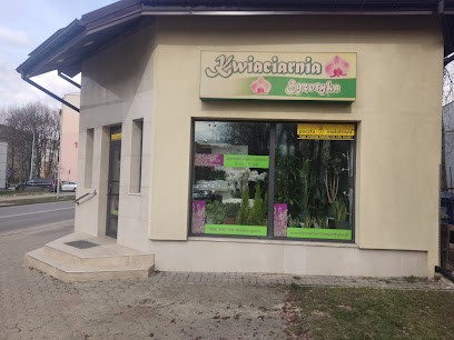 EGZOTYKA, Kwiaciarnia w Płock