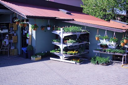 Kwiaciarnia Filec, Kwiaciarnia w Świerklany