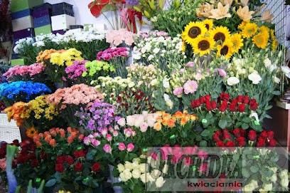 Kwiaciarnia Orchidea, Kwiaciarnia w Wieliczka