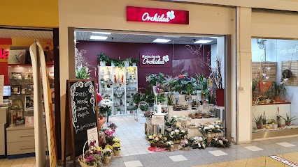 Kwiaciarnia Orchidea, Kwiaciarnia w Wrocław