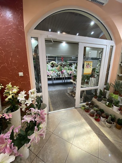 Kwiaciarnia Natalia, Kwiaciarnia w Ujazd