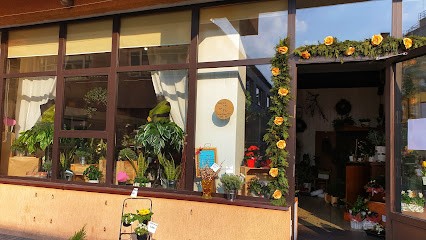 Kwiaciarnia Dom Kwiatów KIN KO, Kwiaciarnia w Rzeszów