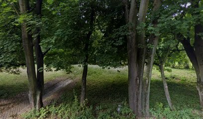 Storczyk. Kwiaciarnia. Ogórek R., Kwiaciarnia w Spytkowice