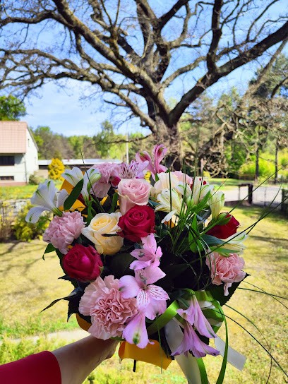 Kwiaty Sabinka, Kwiaciarnia w Żarki