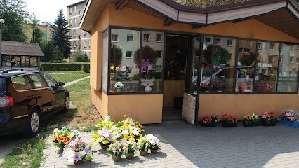 Milewski A. Kiosk z kwiatami, Kwiaciarnia w Olkusz