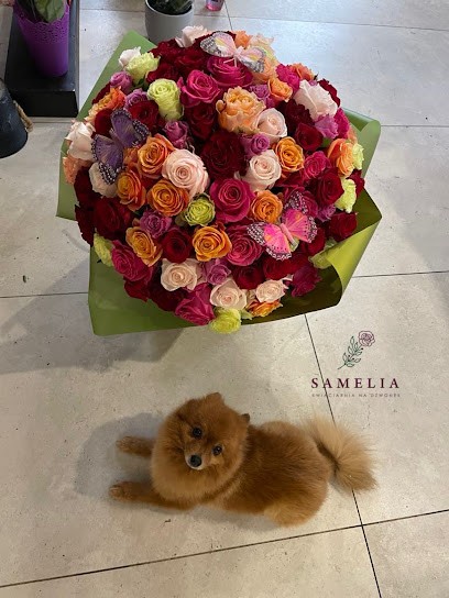 Kwiaciarnia Samelia, Kwiaciarnia w Nowy Targ