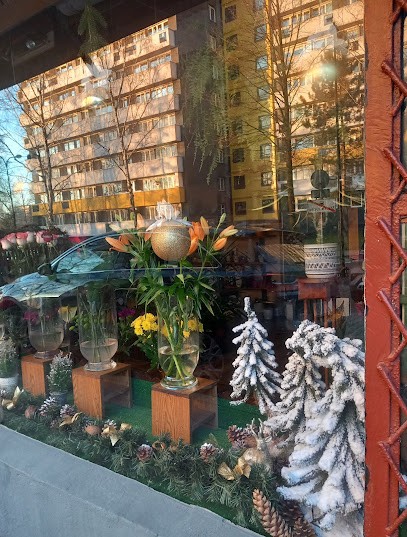 Kwiaciarnia, Kwiaciarnia w Katowice