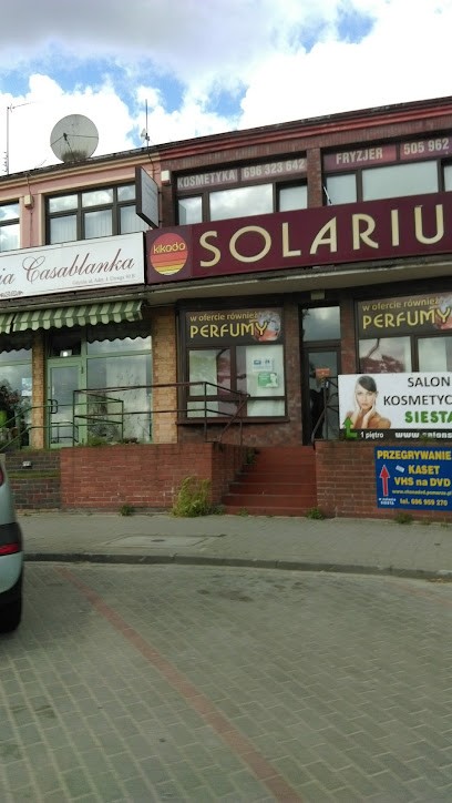 Kwiaciarnia Casablanca Kazimierz Piotrowski - Gdynia, Kwiaciarnia w Gdynia