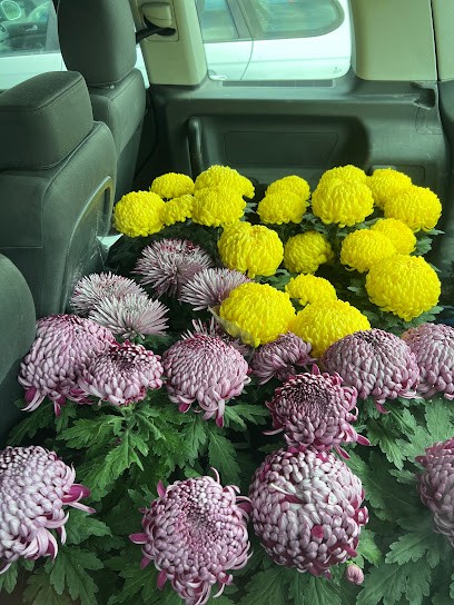 Haczek S.M. Ogrodnictwo, Kwiaciarnia w Kozy