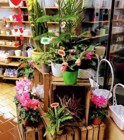 Kwiaciarnia „Hubska”, Kwiaciarnia w Wrocław