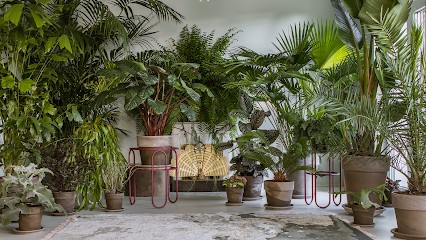 Sklep z roślinami - Plants For Humans, Kwiaciarnia w Warszawa