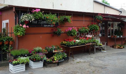 Trzecka Donata. Kwiaciarnia, Kwiaciarnia w Kruszwica