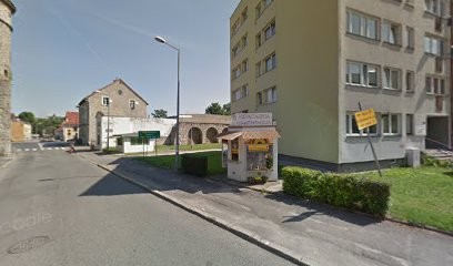 Magnolia, Kwiaciarnia w Lwówek Śląski