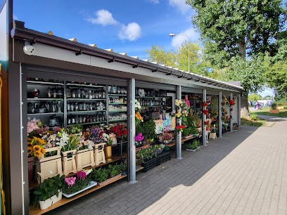 Kwiaciarnia Iwona i Anna, Kwiaciarnia w Łódź