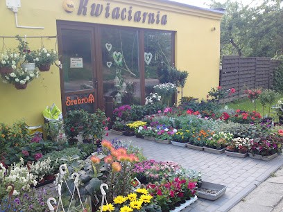 Kwiaciarnia Soraja Bytów, Kwiaciarnia w Bytów