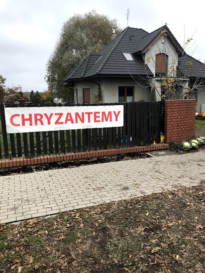 Kwiaty Kicin, Kwiaciarnia w Kicin