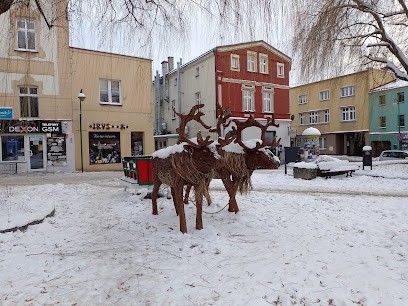 „Irys”. Kwiaciarnia Rolniczej Spółdzielni Produkcyjnej Lepszy Byt Pawonków, Kwiaciarnia w Lubliniec