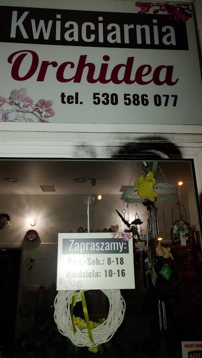 Orchidea, Kwiaciarnia w Stargard