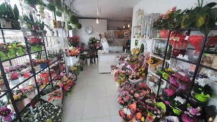 Domańscy I.P Kwiaciarnia i Ogrodnictwo, Kwiaciarnia w Gdańsk