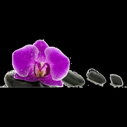 Pracownia Florystyczna Storczyk, Kwiaciarnia w Pakosław