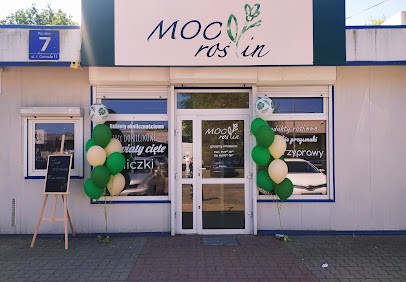 Moc Roślin, Kwiaciarnia w Warszawa