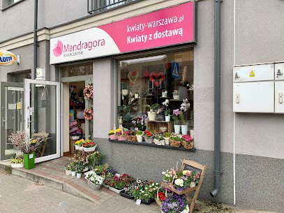 Mandragora, Kwiaciarnia w Michałowice