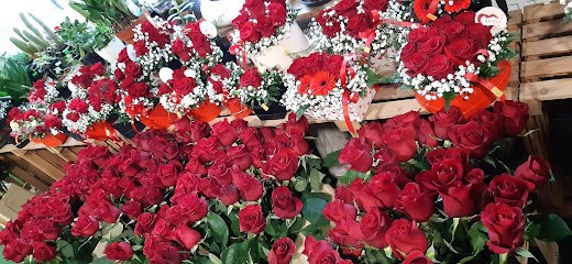 Kwiaty Zioła Rosa, Kwiaciarnia w Pleszew