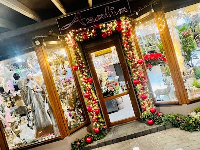 Azalia. Kwiaciarnia, Kwiaciarnia w Radom