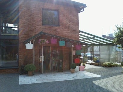 centrum ogrodnicze-kwiaciarnia 'beniko', Kwiaciarnia w Brzeziny