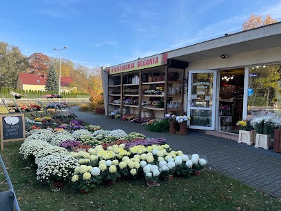 Kwiaciarnia Begonia, Kwiaciarnia w Gołuchów