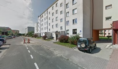 Evergeen-flowers, Kwiaciarnia w Kraśnik