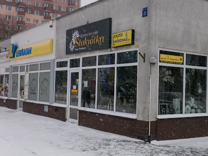 STOKROTKA Kwiaciarnia, Kwiaciarnia w Płock