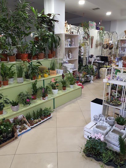 Kwiaciarnia Zielony Zakątek U Basi, Kwiaciarnia w Krosno