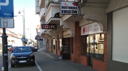 Wholesale Flower Duet, Kwiaciarnia w Białystok