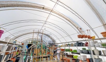 Ogrodnik Ustroń - Centrum Ogrodnicze Mariola Mariola, Kwiaciarnia w Ustroń