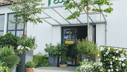 Zielona Fabryka - Świat Zawsze świeżych Kwiatów Oraz Wyjątkowych Mebli I Dekoracji Do Domu, Kwiaciarnia w Gniezno