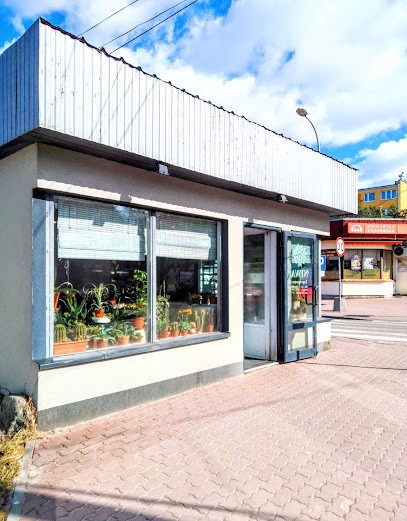 Niwa. Rośliny do mieszkań i ogrodu, Kwiaciarnia w Pruszków