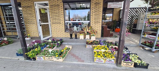 Kwiaciarnia U Wolskich Mielec, Kwiaciarnia w Mielec