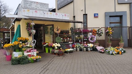 Różyczka Kwiaciarnia, Kwiaciarnia w Warszawa