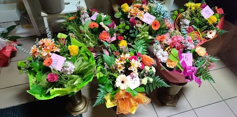 Kwiaciarnia Storczyk, Kwiaciarnia w Busko-Zdrój