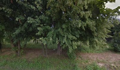 Kwiaciarnia Książęca, Kwiaciarnia w Człuchów