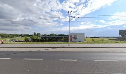 Wyspa Kwiatów, Kwiaciarnia w Lublin