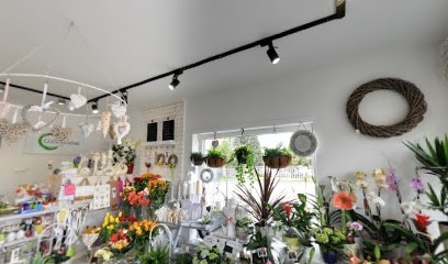 Kwiaciarnia Cuda Wianki, Kwiaciarnia w Opole