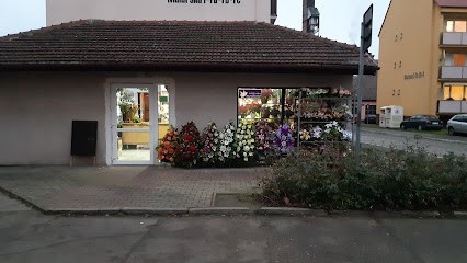 Mak. Kwiaciarnia, Kwiaciarnia w Chojna