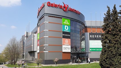 Kwiaciarnia Zielona Zebra, Kwiaciarnia w Jastrzębie-Zdrój